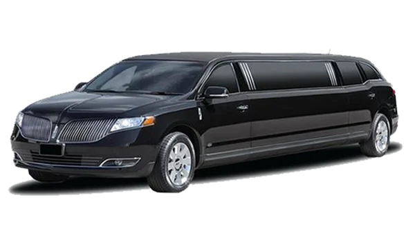 9 Passenger Stretch Limo